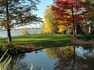 Arboretum